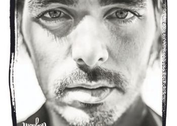 Holenderskie nowości