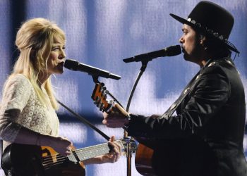 The Common Linnets rosną w siłę