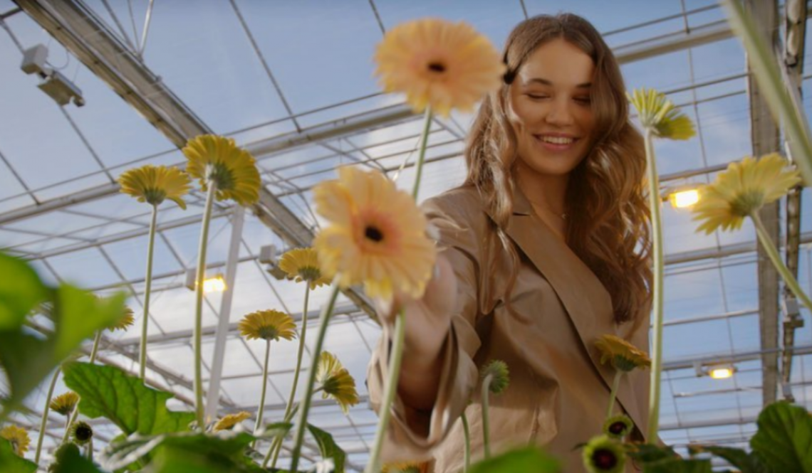 Alicja Szemplińska, Eurowizja 2021