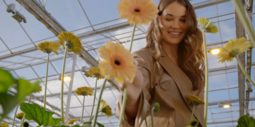 Alicja Szemplińska, Eurowizja 2021